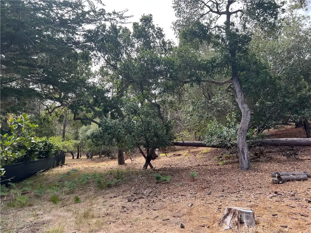 1280 Warren Road, Cambria, CA 93428 - #1