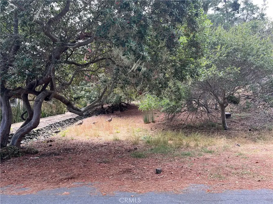 1280 Warren Road, Cambria, CA 93428 - #3