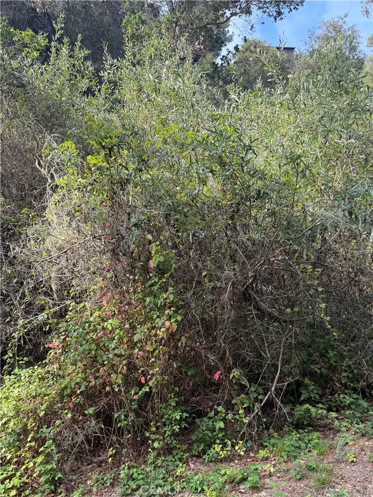 0 Sheffield Street, Cambria, CA 93428 - #2