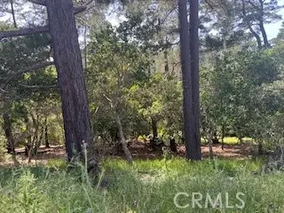 0 Bradford Road, Cambria, CA 93428 - #3