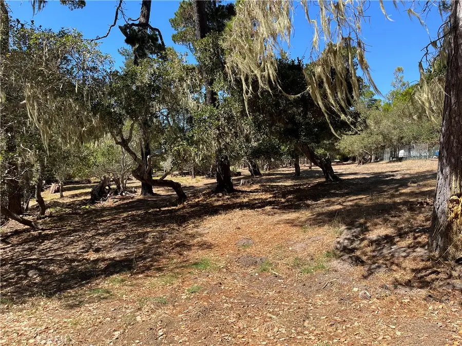 34 Kenneth, Cambria, CA 93428 - #3