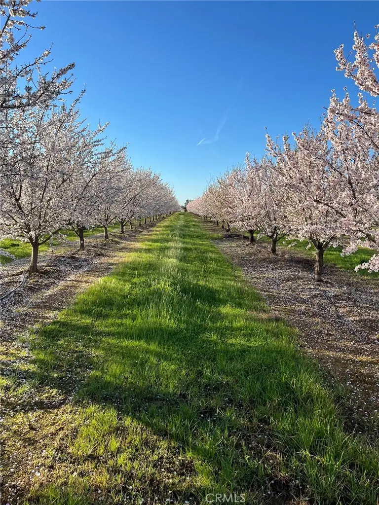 22085 Finnell, Corning, CA 96021 - Image #3