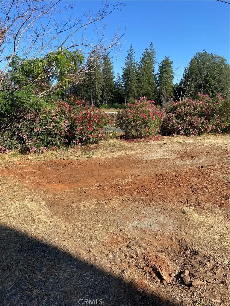 8899 Skyway, Paradise, CA 95969 - #1