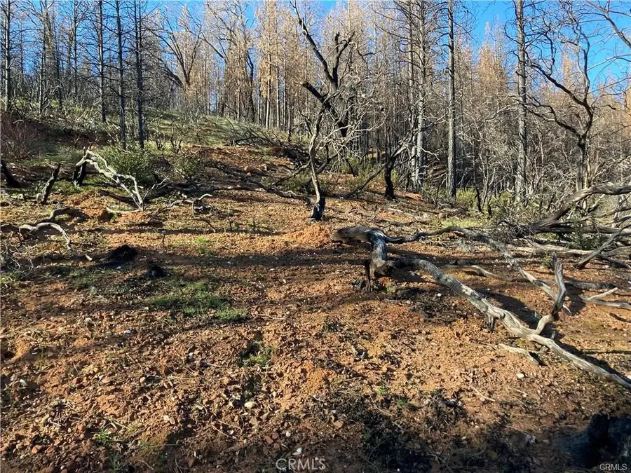 191 Ruiz Road, Berry Creek, CA 95916 - Image #3