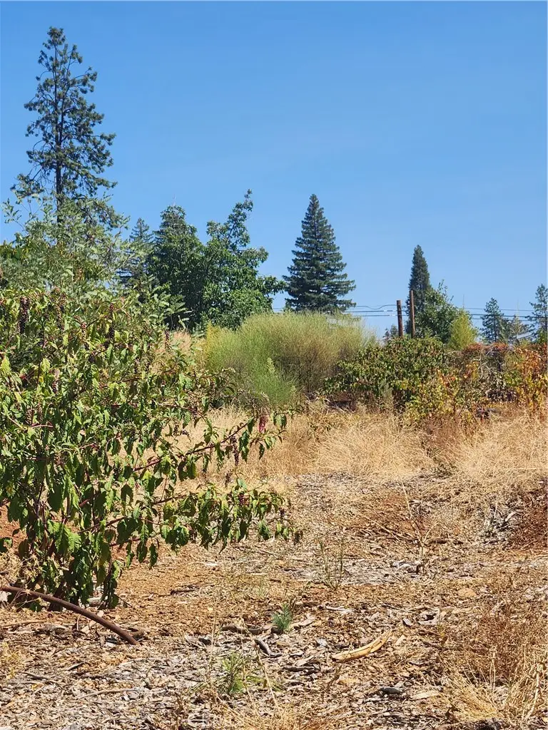 13811 W Park Drive, Magalia, CA 95954 - Image #1