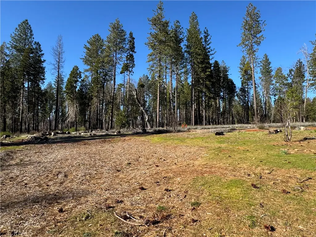 13787 Curtis Court, Magalia, CA 95954 - Image #1