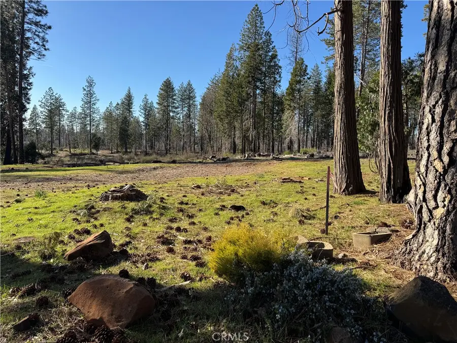 13787 Curtis Court, Magalia, CA 95954 - Image #3