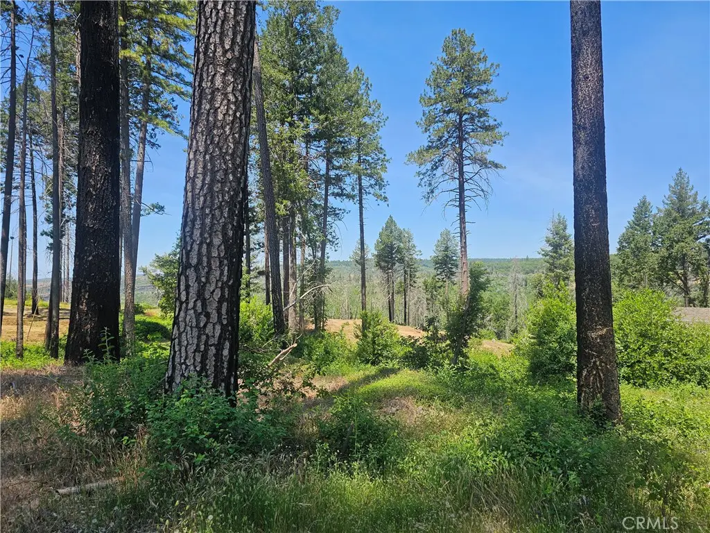 6649 Lincoln Drive, Paradise, CA 95969 - Image #1