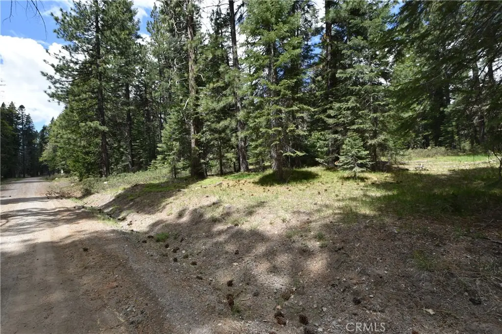 0 Fumarole Ct Court, McCloud, CA 96057 - #1