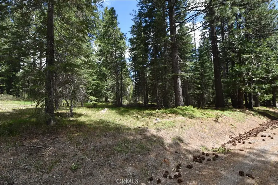 0 Fumarole Ct Court, McCloud, CA 96057 - #3
