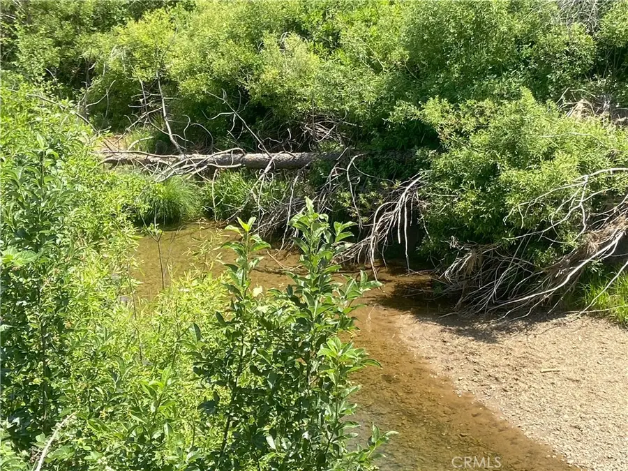 169 Hot Springs Road, Greenville, CA 95947 - Image #3