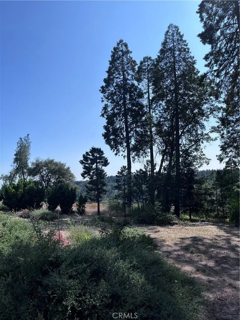 13903 Cluster Court, Magalia, CA 95954 - Image #3