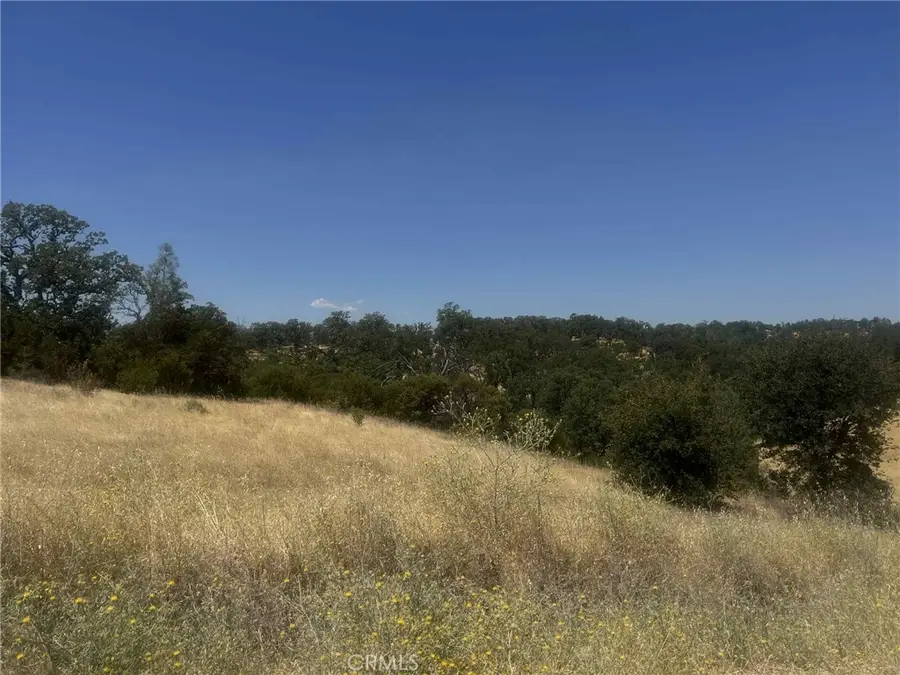 6915 Remunda Road, Corning, CA 96021 - #3