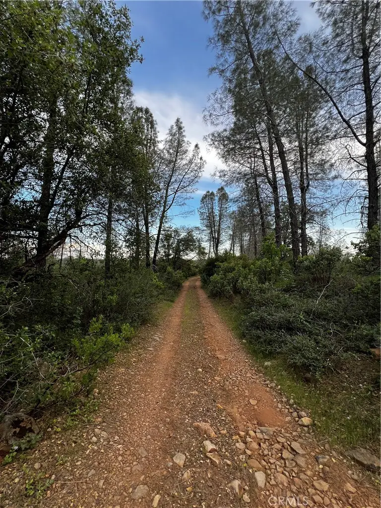 0 Donkey Mine Road, Oak Run, CA 96069 - #1