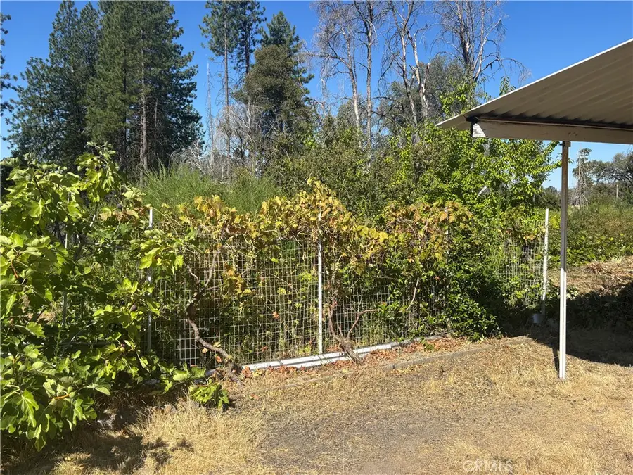 1996 Bald Rock Road, Berry Creek, CA 95916 - Image #3