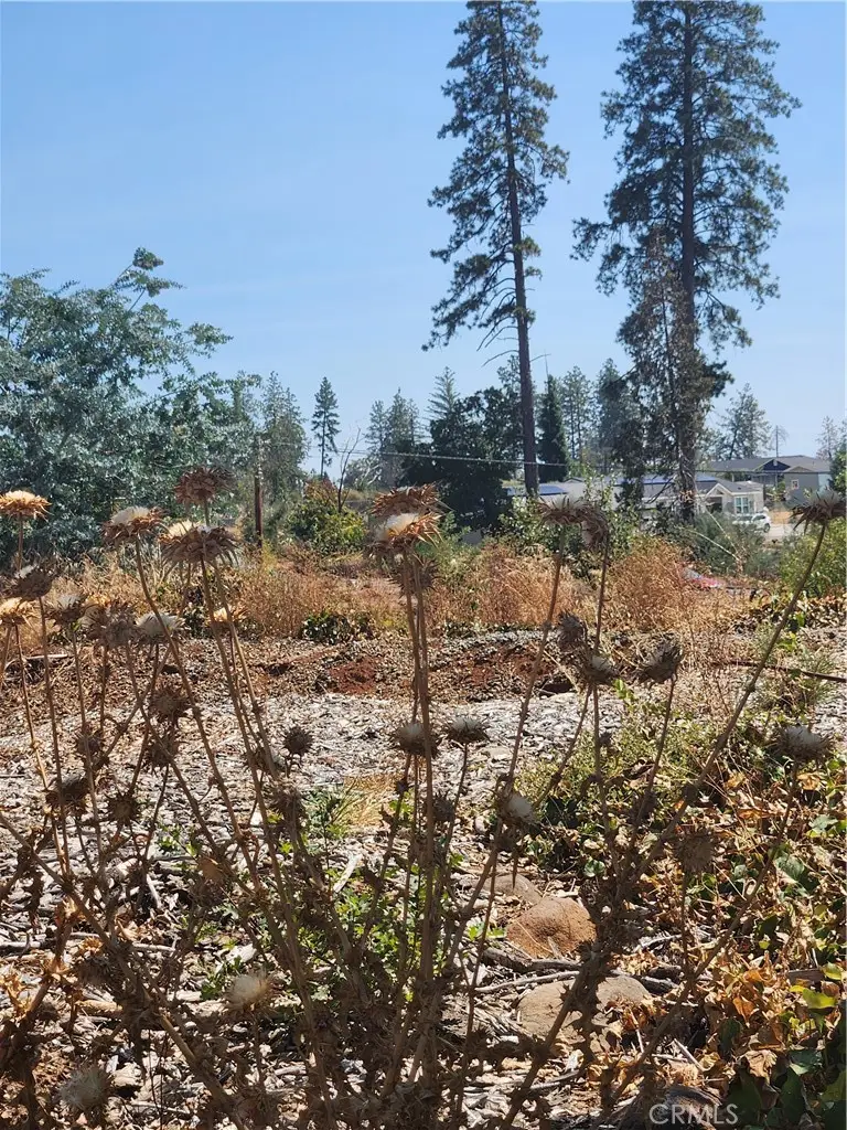 420 Simpson Ranch Road, Berry Creek, CA 95916 - Image #1