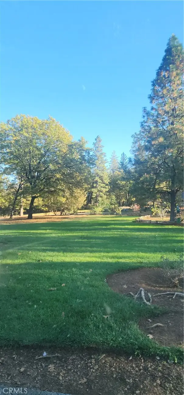 14900 Woodland Park, Forest Ranch, CA 95942 - #1
