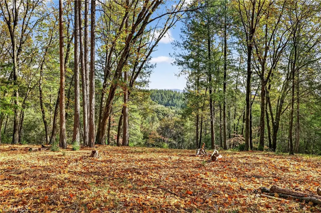 0 Burgundy Lane, Forest Ranch, CA 95942 - #1