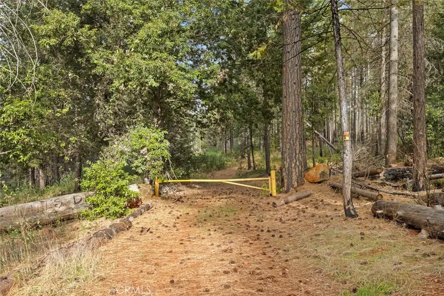 0 Old Forbestown Road, Forbestown, CA 95941 - Image #3