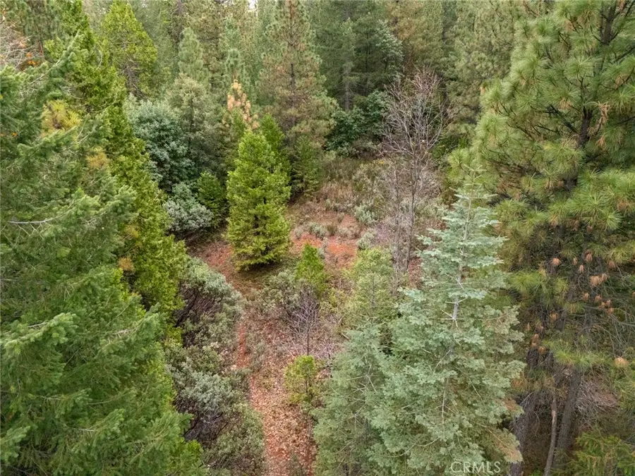 1 Old Forbestown Road, Forbestown, CA 95941 - Image #2