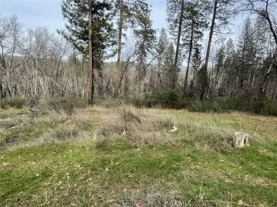 998 Encina Grande, Berry Creek, CA 95916 - Image #3