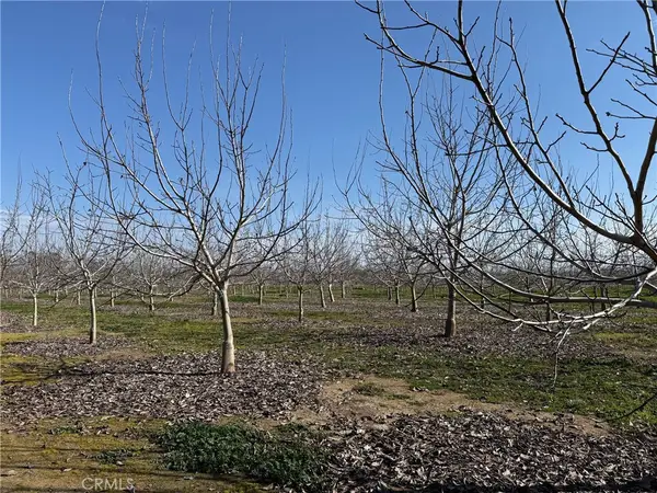 0 Mcfadden Lane, Chico, CA 95928