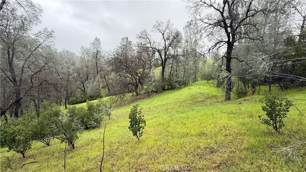 16370 Oakridge Road, Corning, CA 96021 - #1