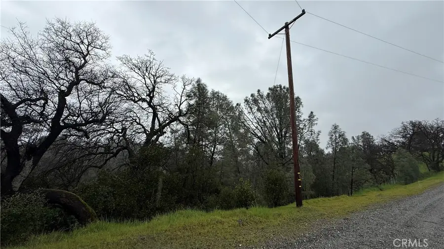 16370 Oakridge Road, Corning, CA 96021 - #2
