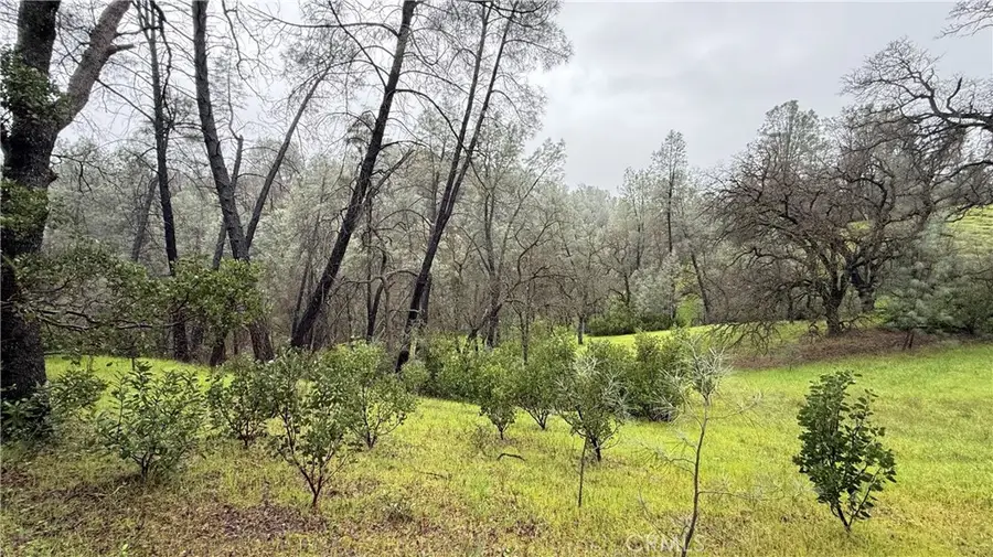 16370 Oakridge Road, Corning, CA 96021 - #3