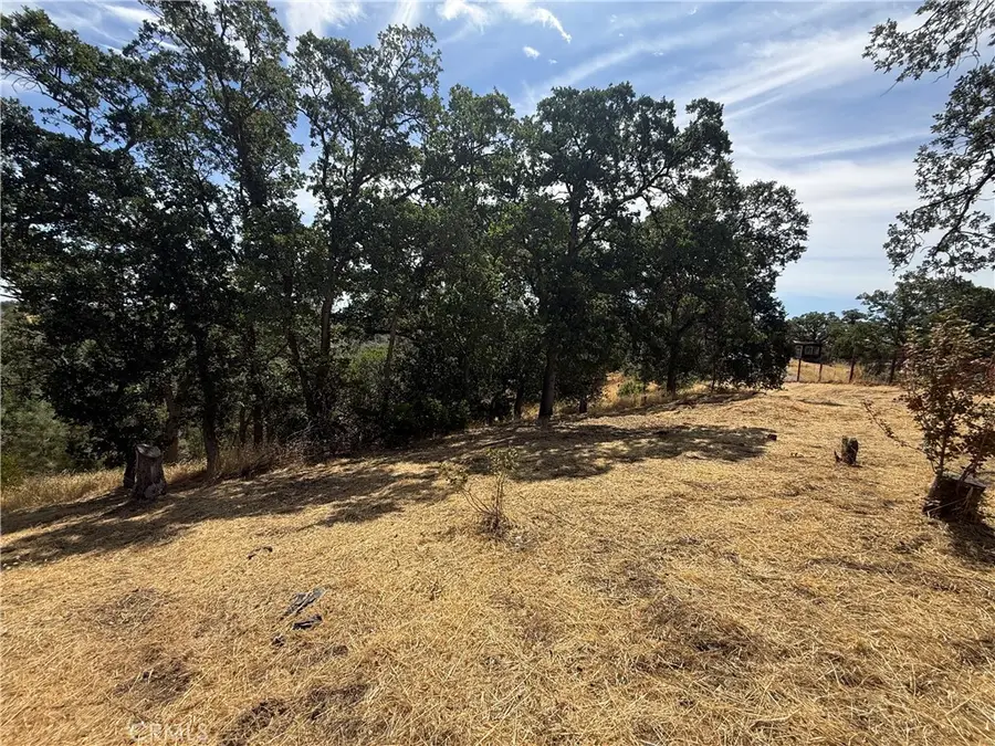 16318 Longhorn Lane, Corning, CA 96021 - #3