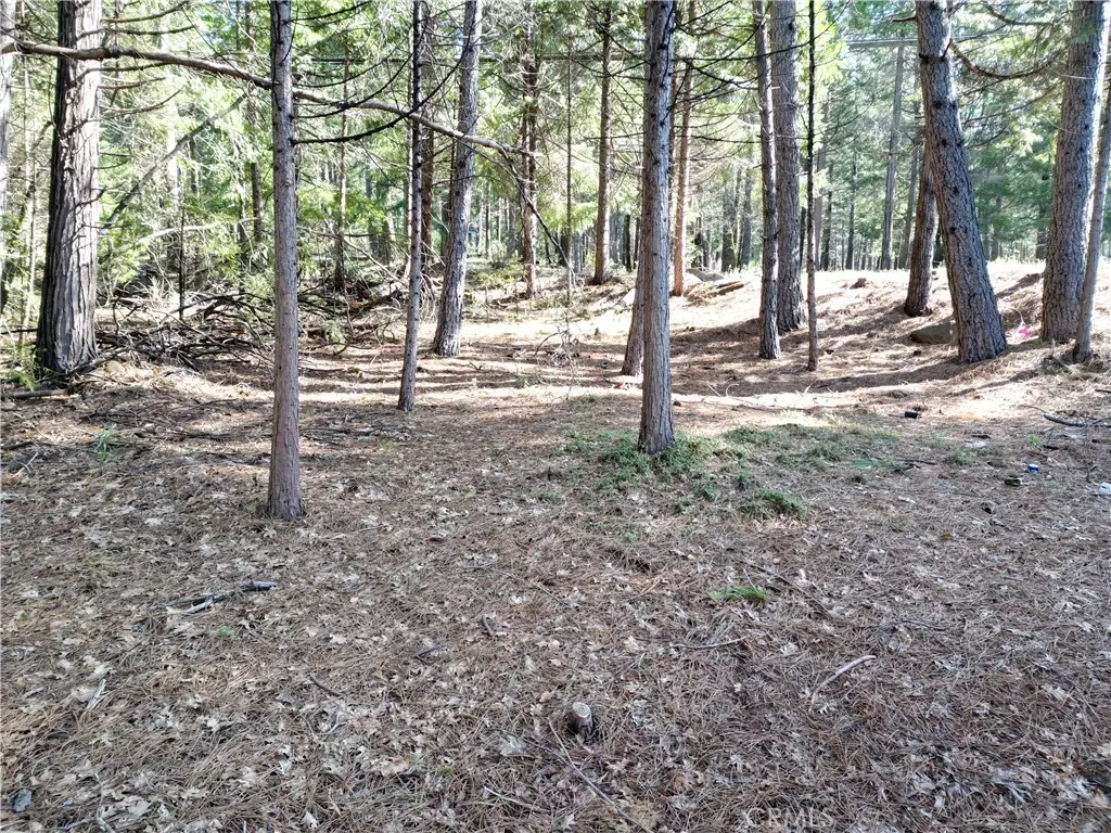 0 Skyway, Magalia, CA 95954 - #1