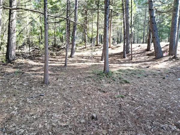 0 Skyway, Magalia, CA 95954