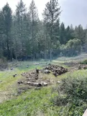 178 Bloomer Hill Rd, Berry Creek, CA 95916 - #1