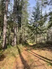 178 Bloomer Hill Rd, Berry Creek, CA 95916 - #2