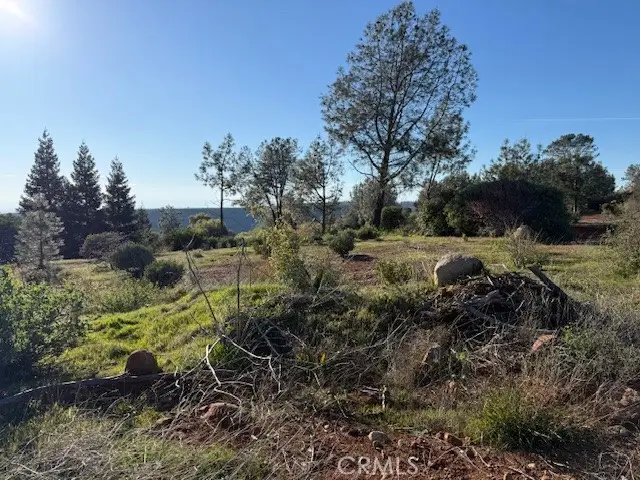 4450 Sierra Del Sol, Paradise, CA 95969 - #1