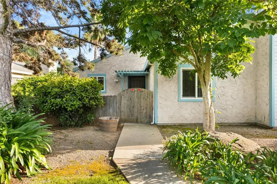 991 Flying V Street, Chico, CA 95928 - #3