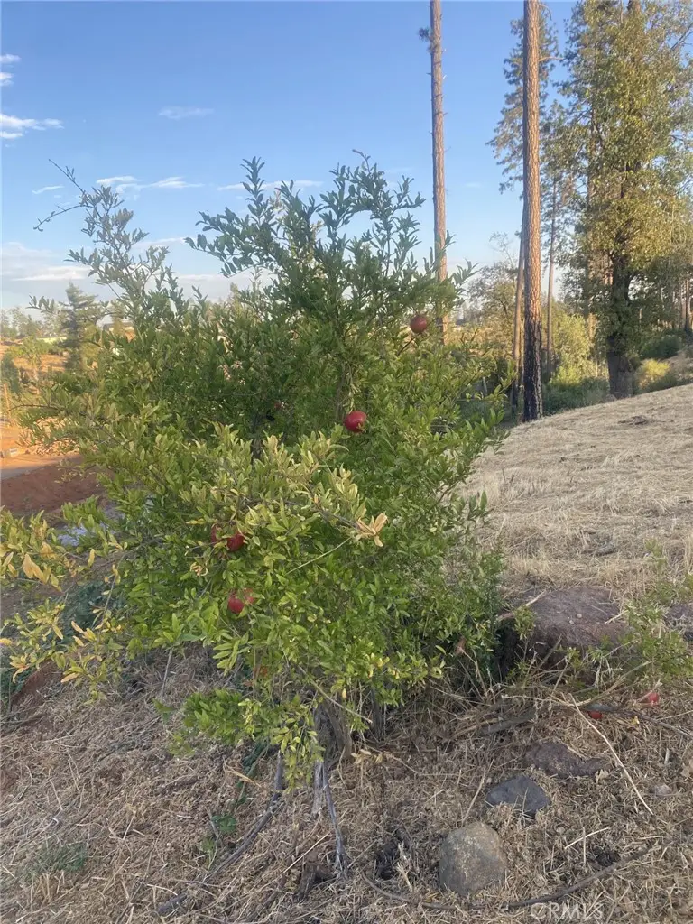 5640 Gramercy, Paradise, CA 95969 - #2