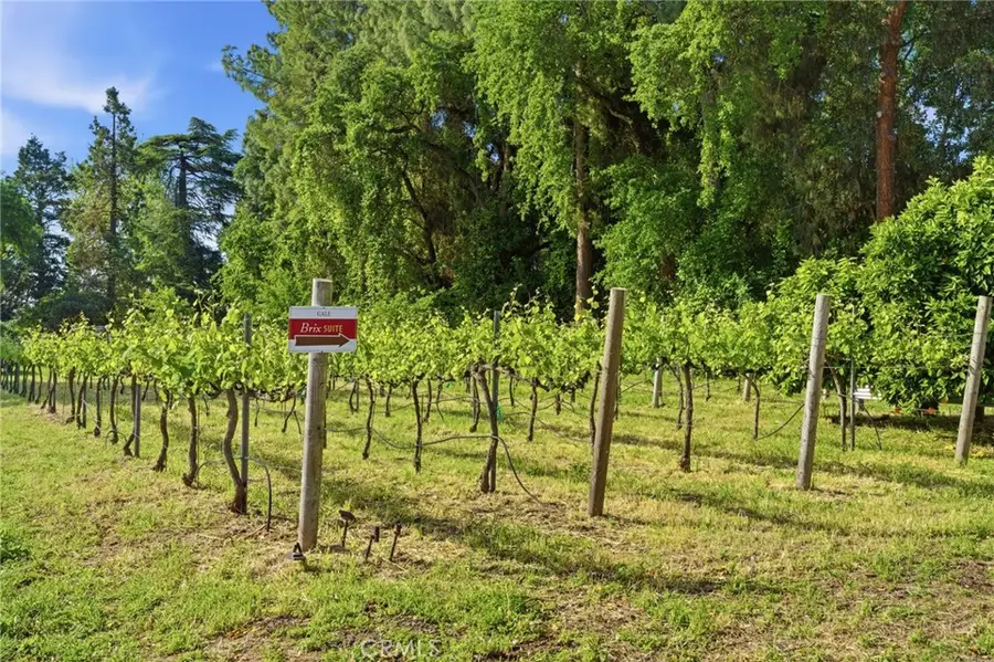 9343 Stanford Lane, Durham, CA 95938 - #3