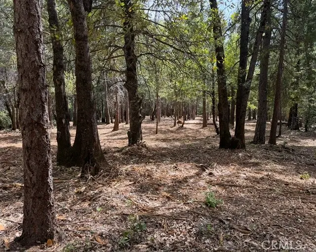 0 Platt Mountain Road, Forest Ranch, CA 95942 - #1