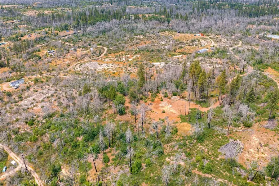 51 Horseshoe Trail, Berry Creek, CA 95916 - #2