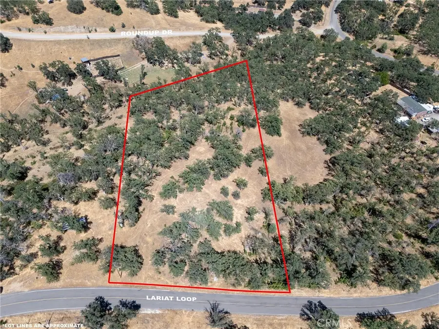 16398 Lariat, Corning, CA 96021 - #2