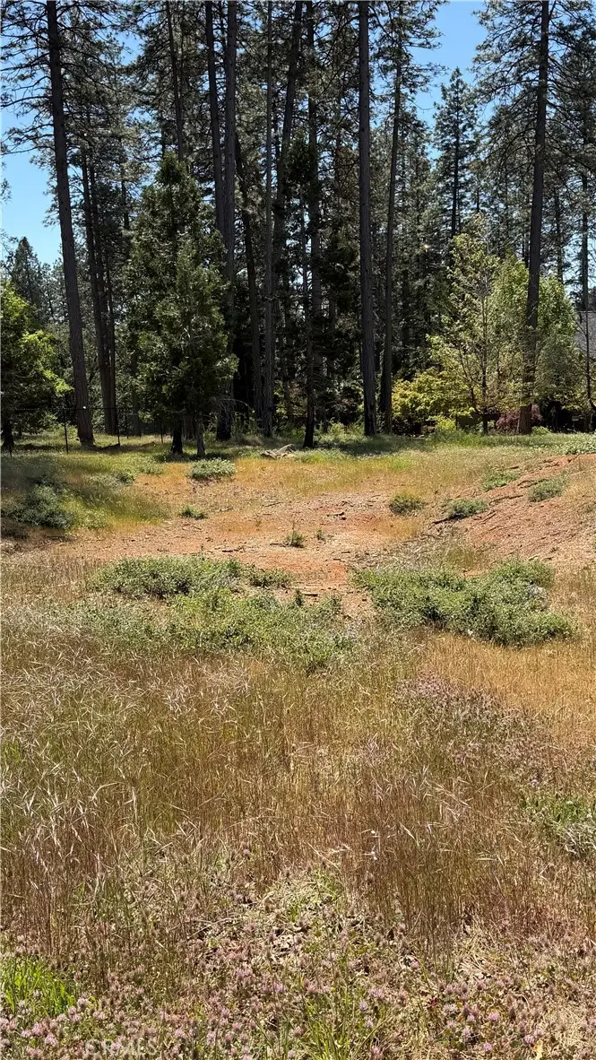1644 Paradisewood, Paradise, CA 95969 - #2