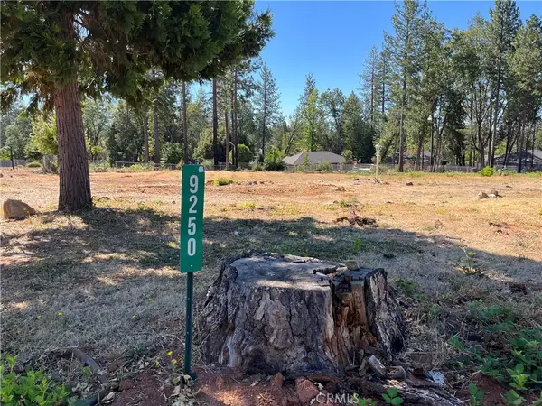 9250 Skyway Road, Paradise, CA 95969