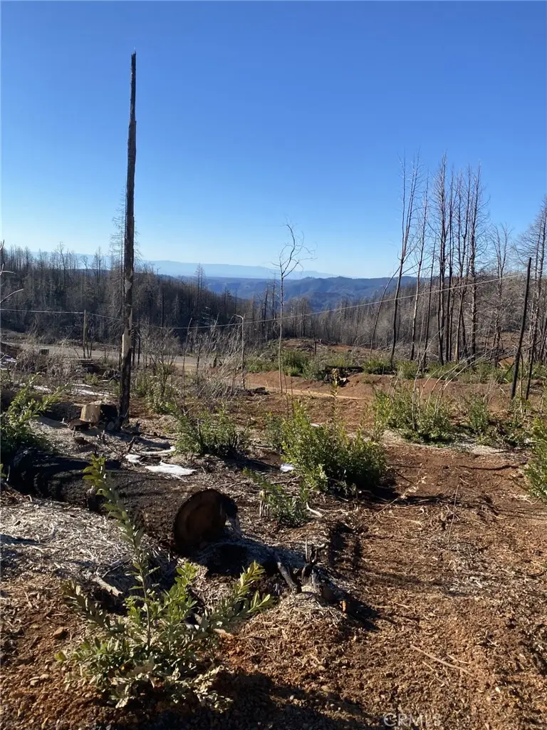 45 Fox Hill, Berry Creek, CA 95916 - #1