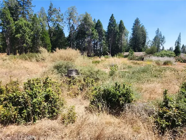 13744 W Park, Magalia, CA 95954