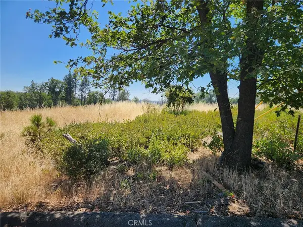13602 Andover, Magalia, CA 95954