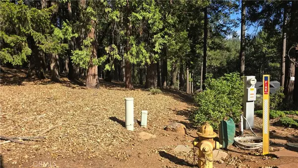 43 Mallard Court, Magalia, CA 95954