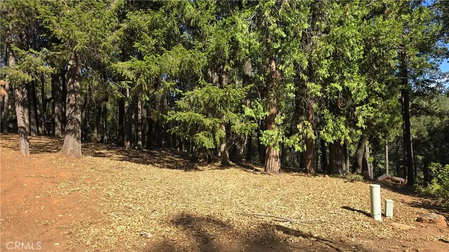 43 Mallard Court, Magalia, CA 95954 - #2