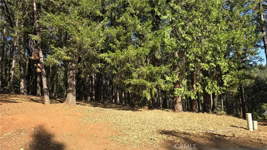 43 Mallard Court, Magalia, CA 95954 - #3