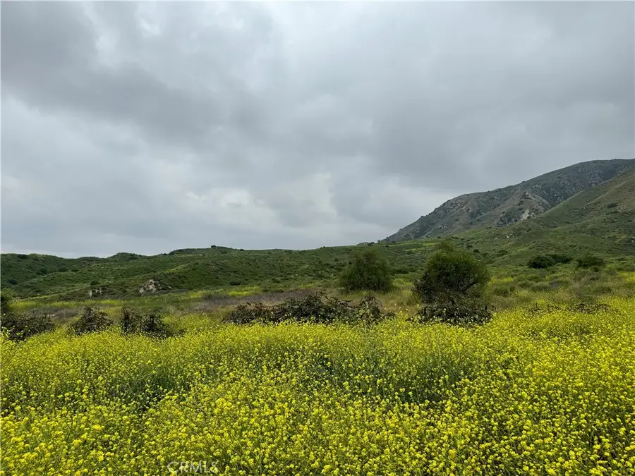 11275 Hadler Drive, Kagel Canyon, CA 91342 - #2